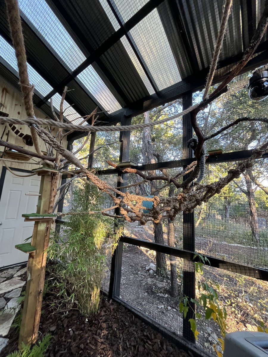 The new and improved marmoset enclosure :)