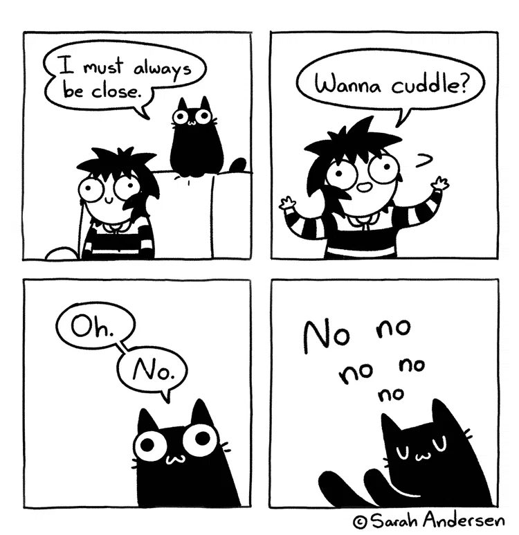 Sarah’s Scribbles tweet media