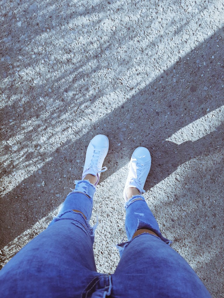 Ја.С (@birdofliverpool) on Twitter photo 