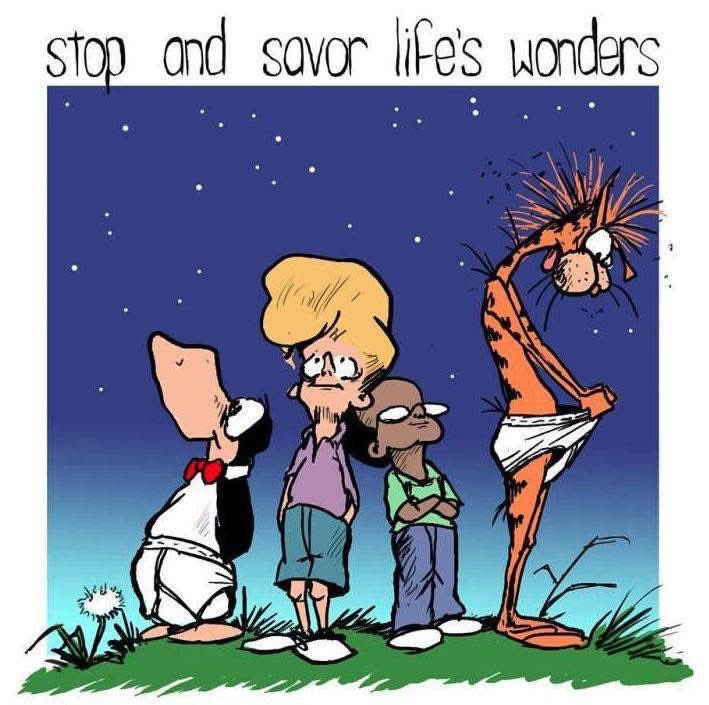 🇺🇸 William D. Thompson 🌞 tweet media