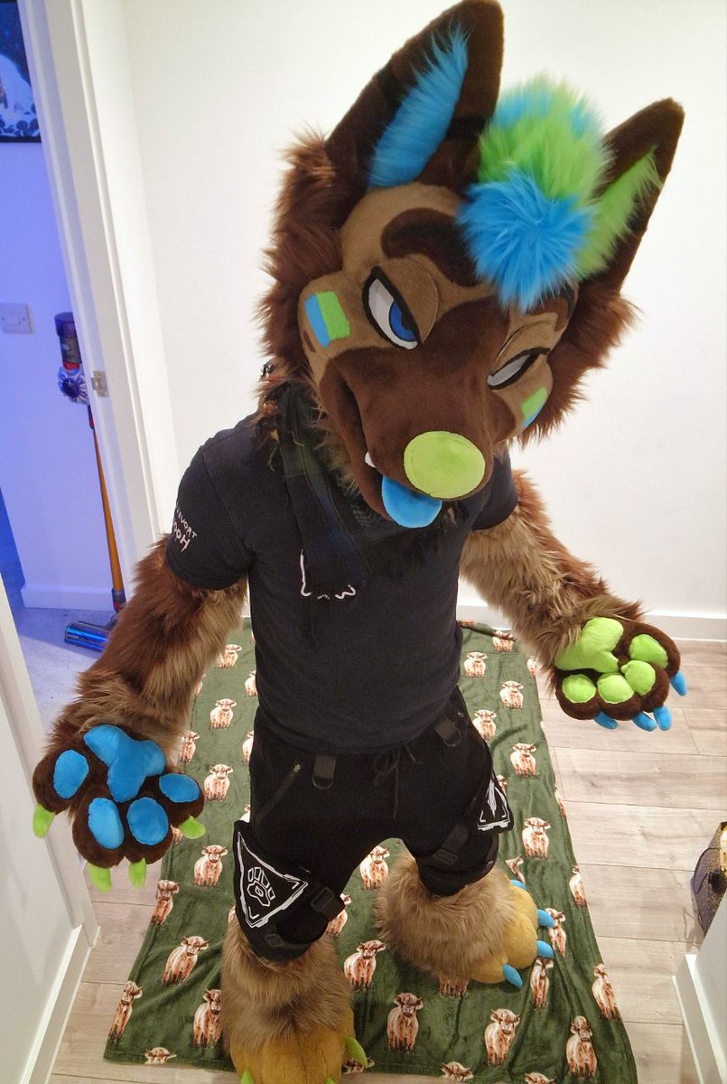 Shep_Dex's tweet image. Since most of you said fluffy... here’s the fluff 💙💚