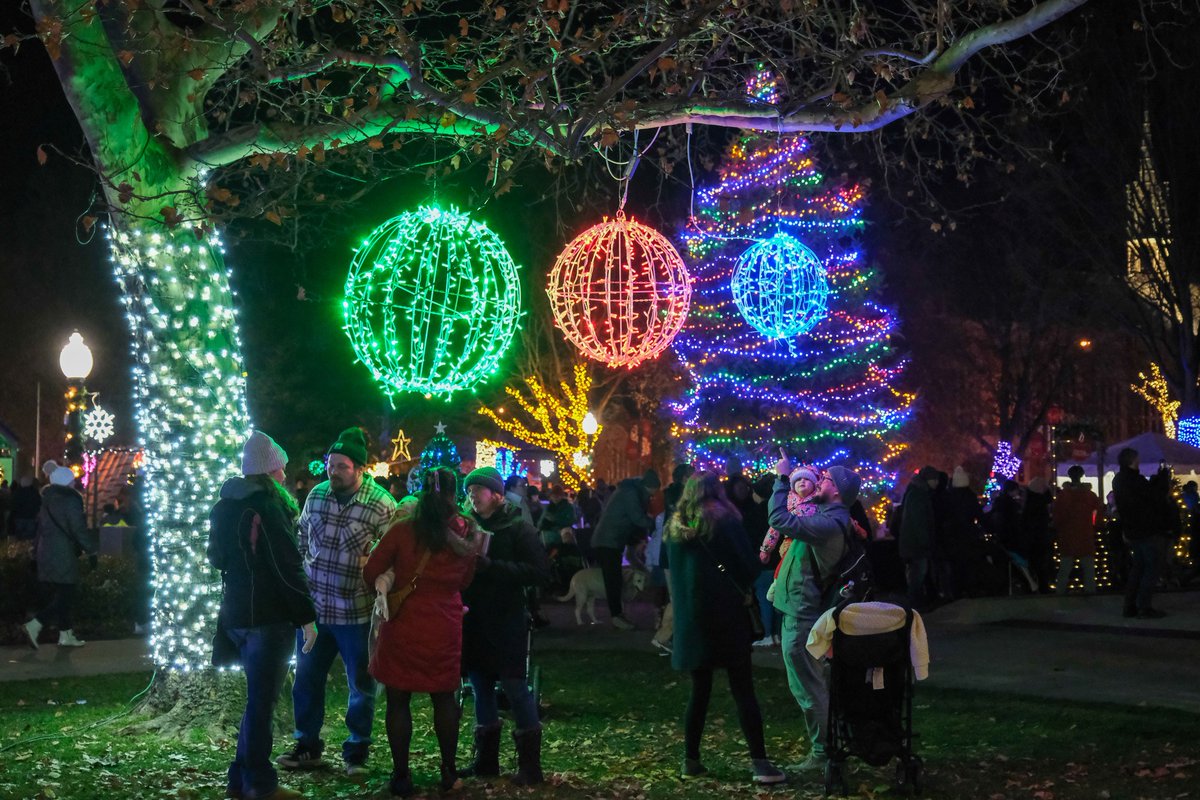 🌲✨Save the date for this year’s Tree Lighting Ceremony in Bronson Park! There will be music and dance performances, kids craft activities, lighting of the park, and more!

📆 Friday, November 28   ⏰5-7 p.m.  📍Bronson Park 

Full details at kzooparks.org/TreeLighting