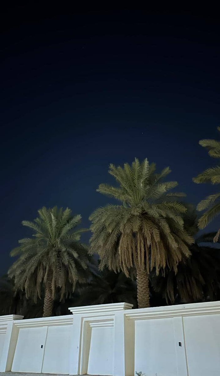 s9llyi's tweet photo. أنتي 
أجملُ نسمةٍ 
وُجِدت في هذه الدُنيا https://t.co/s6Zi0GaEFU