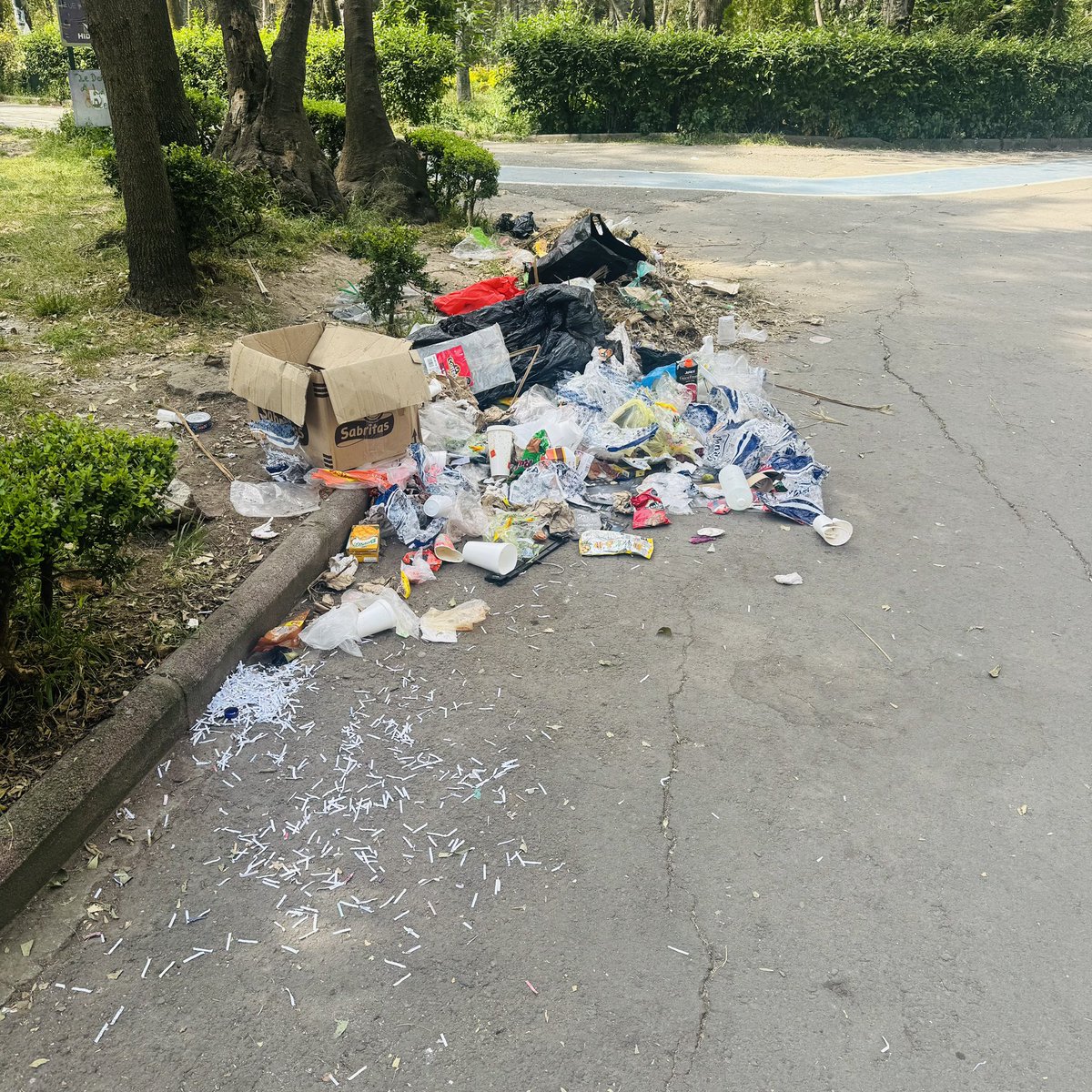 Que descuidado tienen el parque hundido <a href="/BJAlcaldia/">Alcaldía de Benito Juárez</a> Pensé que eran diferentes a los de Morena.