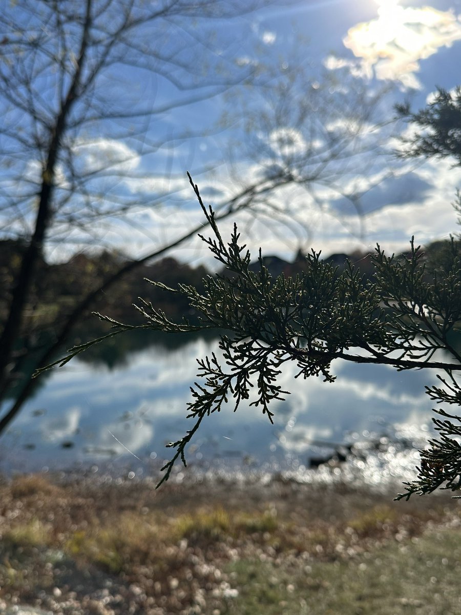 MusafirHunnYaro's tweet photo. In every walk with nature one receives far more than he seeks — John Muir
#NatureLovers #wanderer #Autumn #randomphotography https://t.co/aP6OlYrRbx