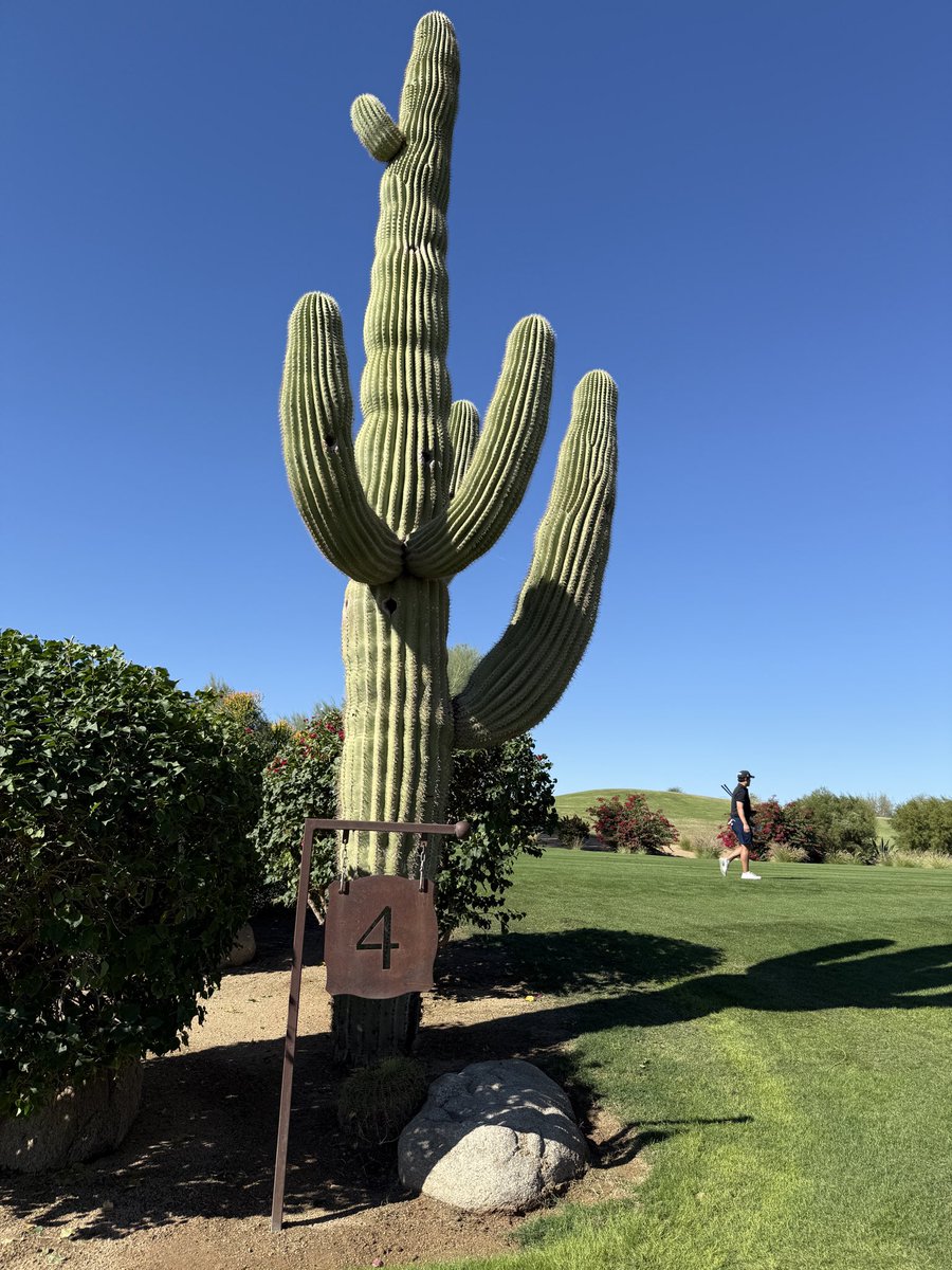 davegerhardt's tweet image. It’s a write off!