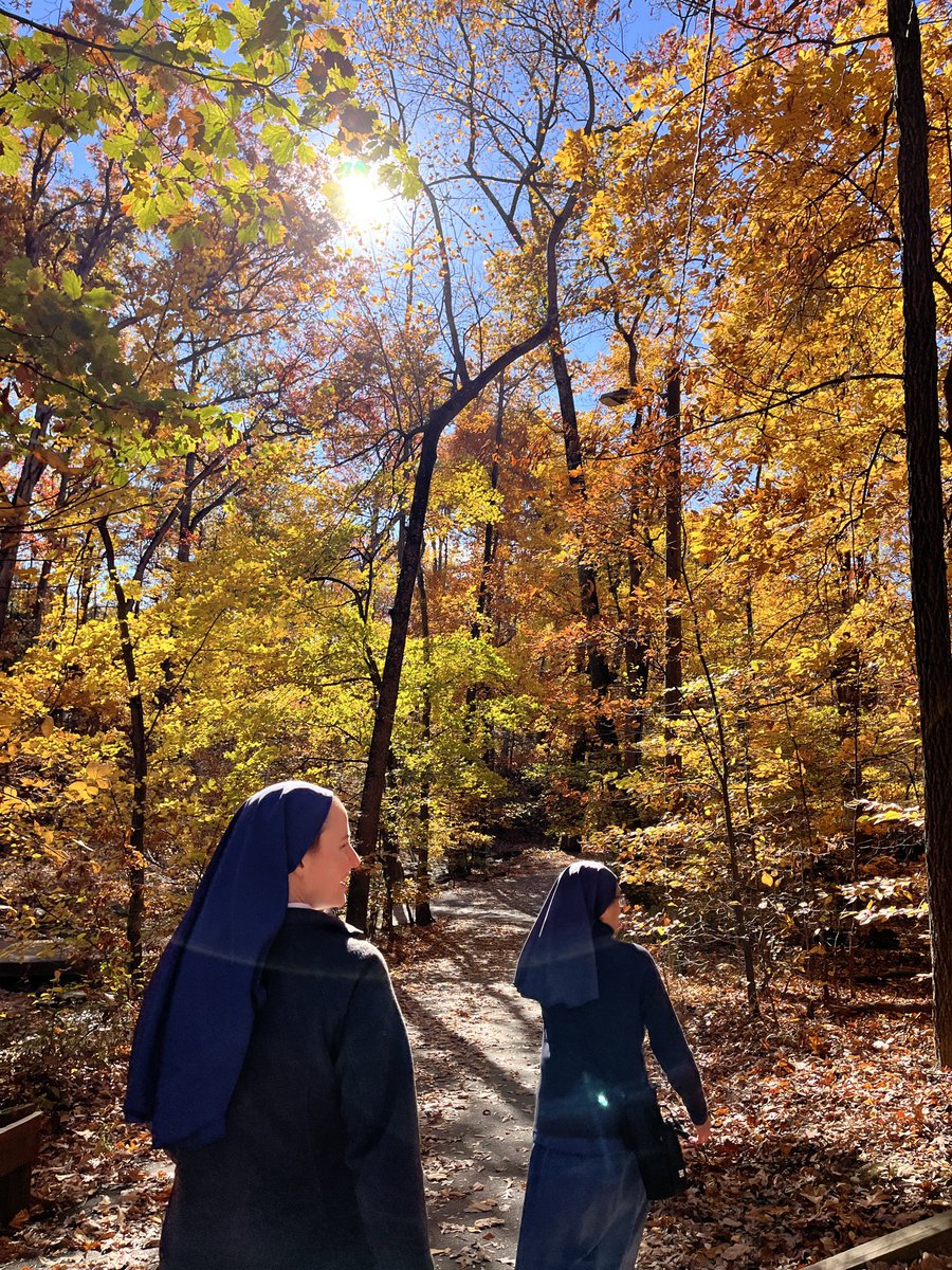 Sister Allison Regina Gliot | Catholic Author tweet media