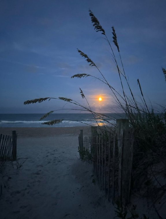 Bona nit a tothom enga fins dema i dolços somnis i recordeu tenir molt de sexe b7 😴💤😴💤😴💤😴💤😴💤😴💤😴💤😴🥰🥰🥰🥰🥰🥰🥰🐺💜