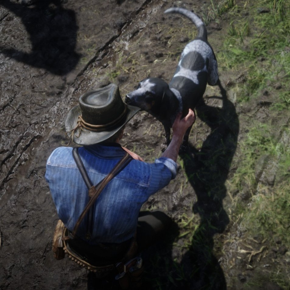 不管什么游戏都要摸摸狗