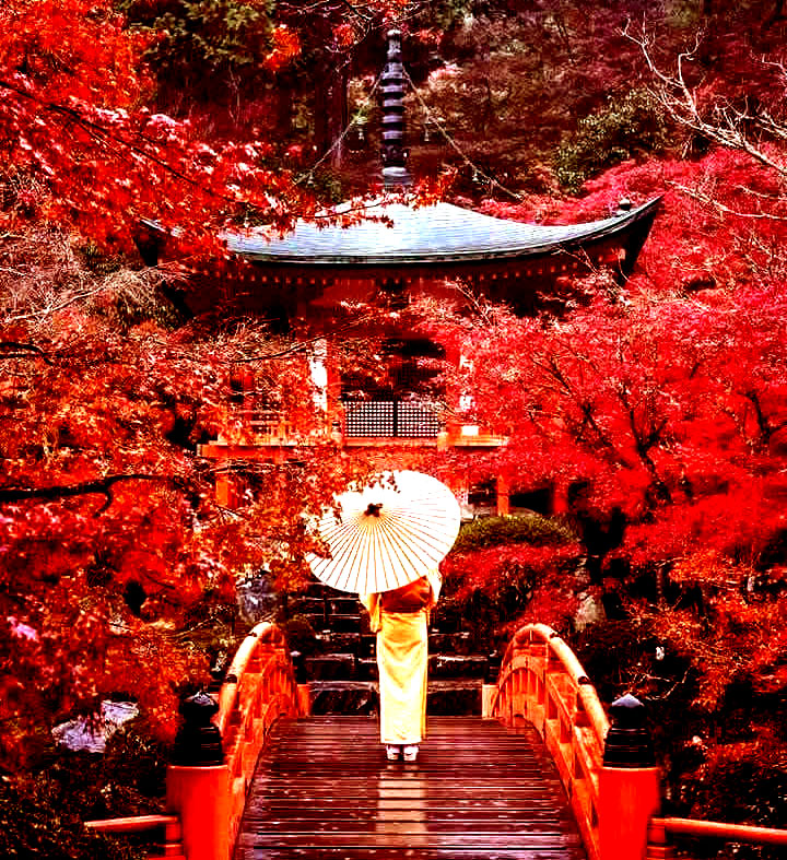 ケンマックス🐻‍❄️ on X