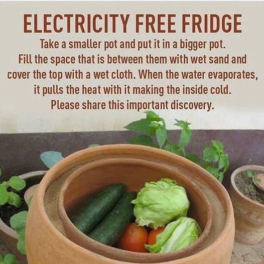 healthbot (@thehealthb0t) on Twitter photo 