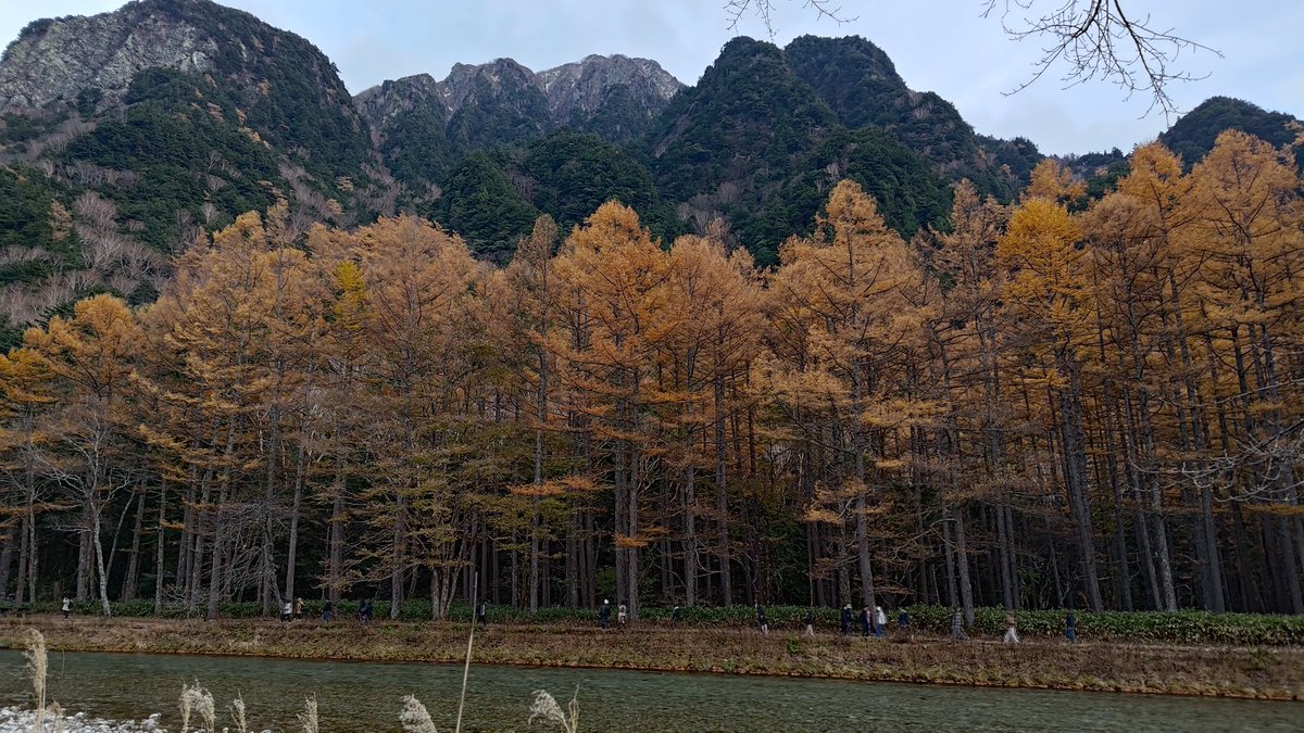 お早うございます!　雨です。気温は5℃。山小屋の皆さんは無事下山されたようで、良かったです。明日は上高地でも雪になる予報が出ています。お気をつけておいで下さい。