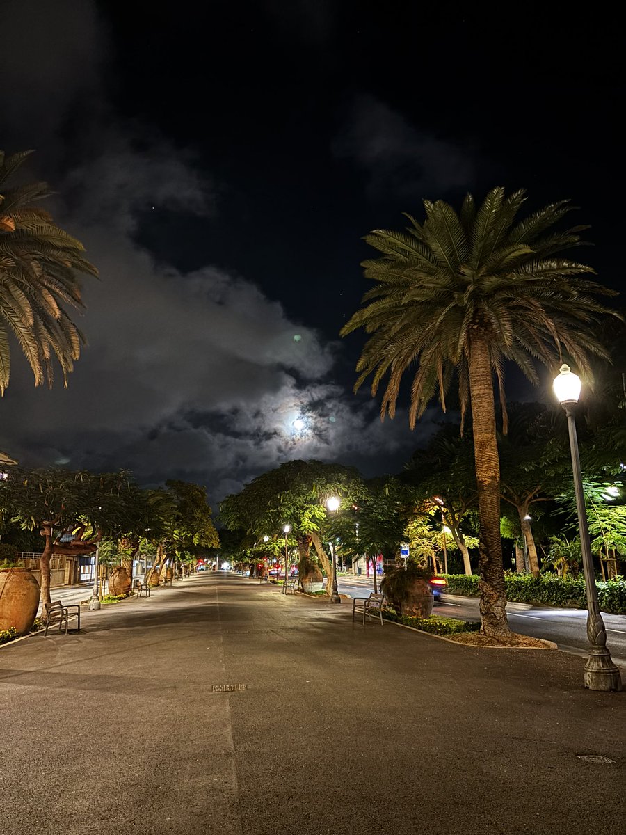 Feliz noche de sábado 🌙🌙🌙

<a href="/EmocionesCan/">Emociones Canarias</a> <a href="/elpaiscanario/">EL PAÍS CANARIO</a> <a href="/yconsumocanario/">Yo Consumo Canario 🇮🇨 🌴</a> <a href="/TeneriFeliz/">TeneriFeliz ☀️⛱️ ❤️</a> <a href="/de1969/">maría lapas</a> <a href="/CONTUNDENTEE/">Francisco Guerra Sandoval. 🏴󠁧󠁢󠁳󠁣󠁴󠁿</a>