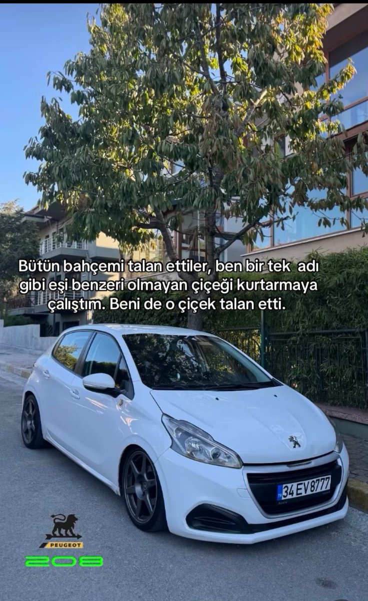 Özledim biliyo musun çok özledim.