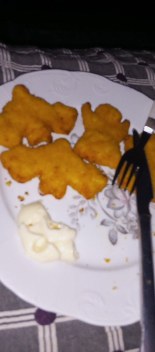 Sillyautisticat's tweet photo. #dogdinner https://t.co/vqR1YLjCiW