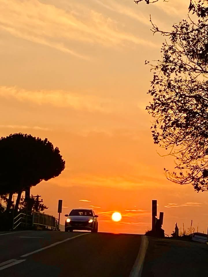 msbalioglu's tweet image. 08.11.25