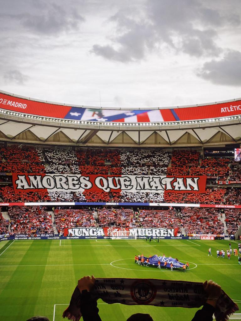 IvaanBlanco26's tweet photo. Los 9 partidos del Atlético de Madrid esta temporada en el Metropolitano:

🟨 1-1 vs Elche.
✅ 2-0 vs Villarreal.
✅ 3-2 vs Rayo.
✅ 5-2 vs Madrid.
✅ 5-1 vs Eintracht.
✅ 1-0 vs Osasuna.
✅ 3-0 vs Sevilla.
✅ 3-1 vs Unión SG.
✅ 3-1 vs Levante.

8 victorias y 1 empate.

26 goles a favor y 8 goles en contra.

Continúa el fortín del Metropolitano.