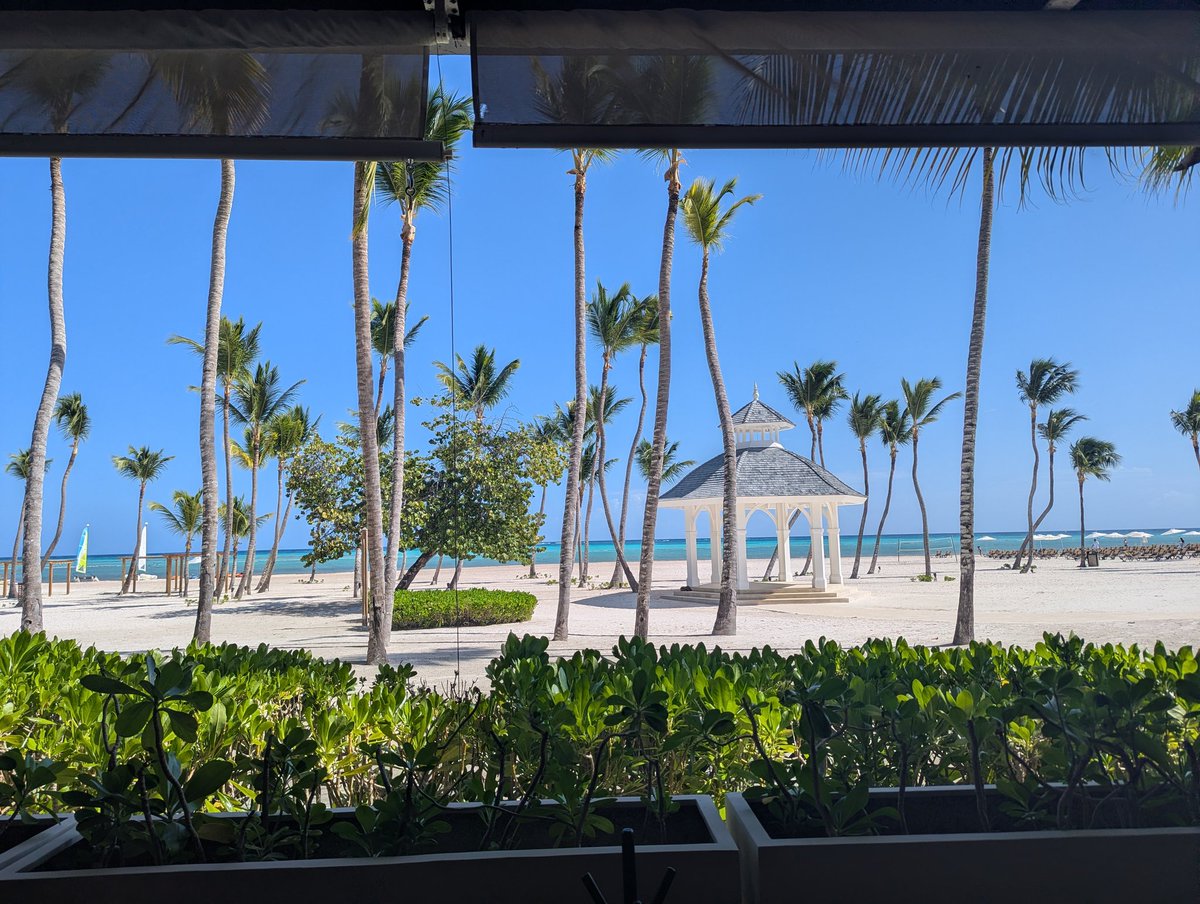 ChefRyanG's tweet image. Shitty view for lunch today.