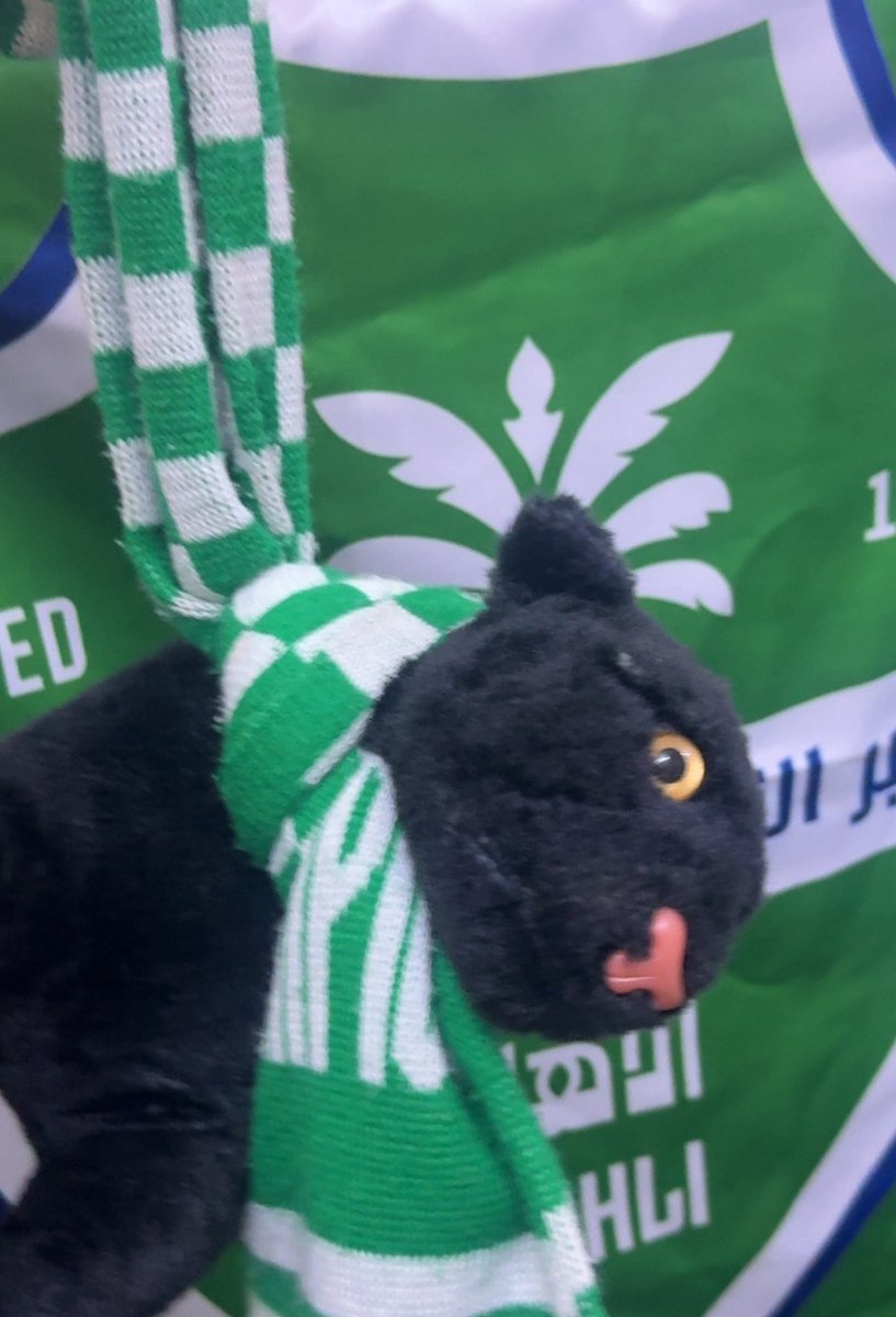 للاهلي سطوه..عليك ياقطوه