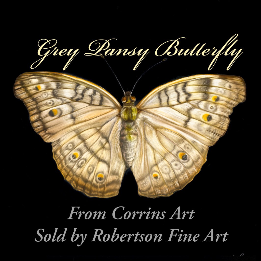 Many thanks to the new recipients and @robertsonfineart

#original #art #painting #bumblebee #butterfly #artcollector #Sold