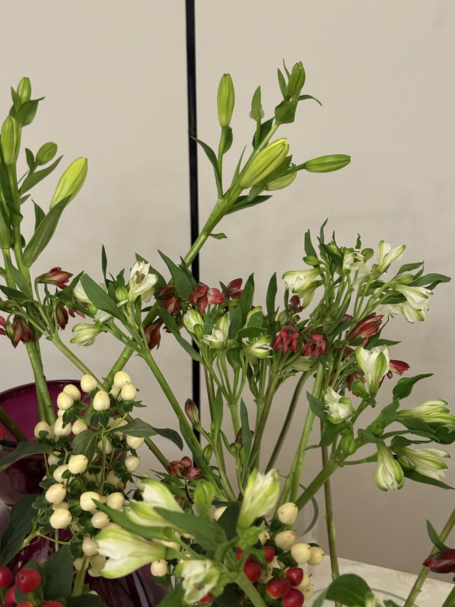 مفضلاتي

تنسيق ورد الأسبوع