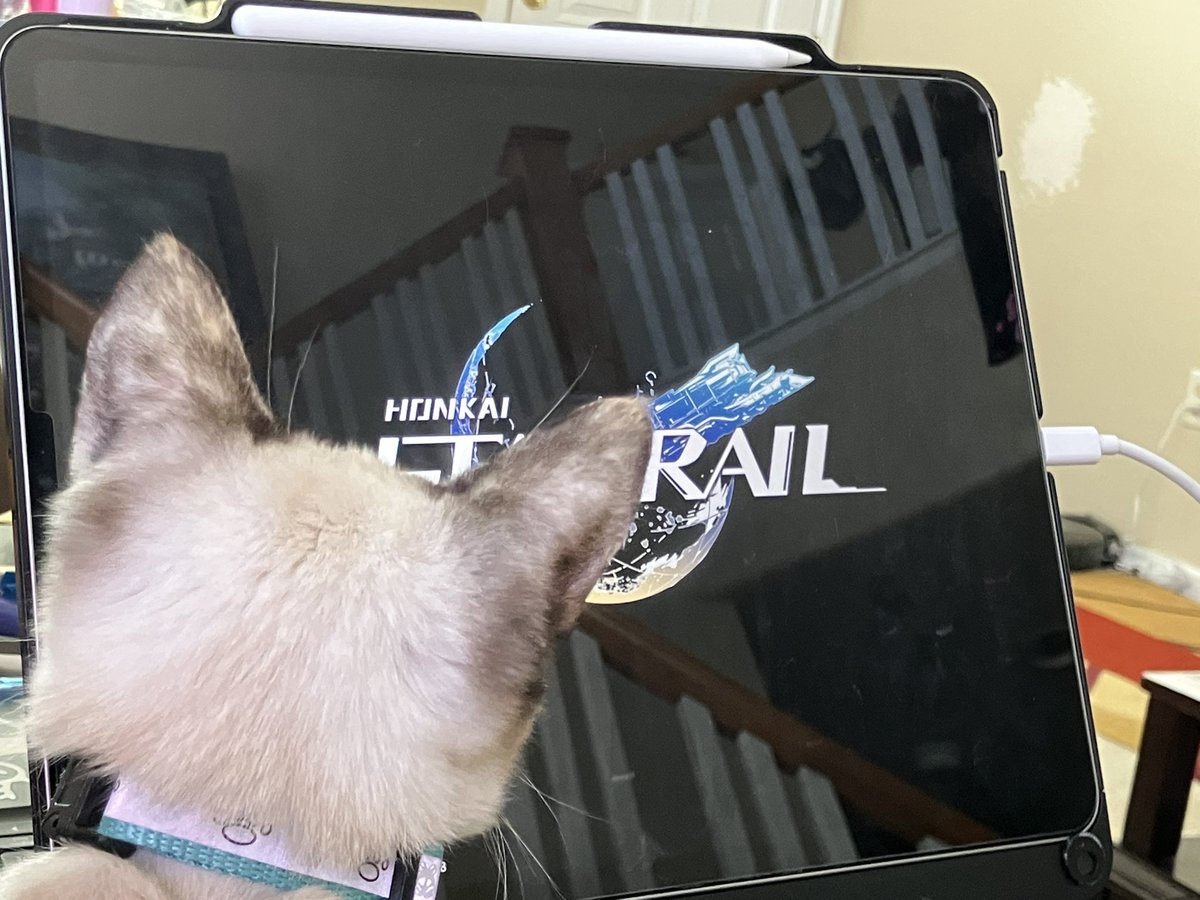 🌻Paintless tweet media