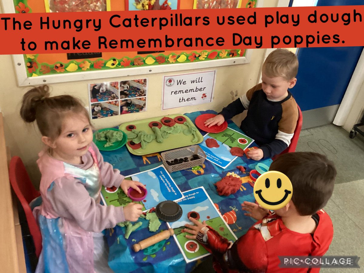 The Hungry Caterpillars have loved learning about why people wear poppies for Remembrance Day.
