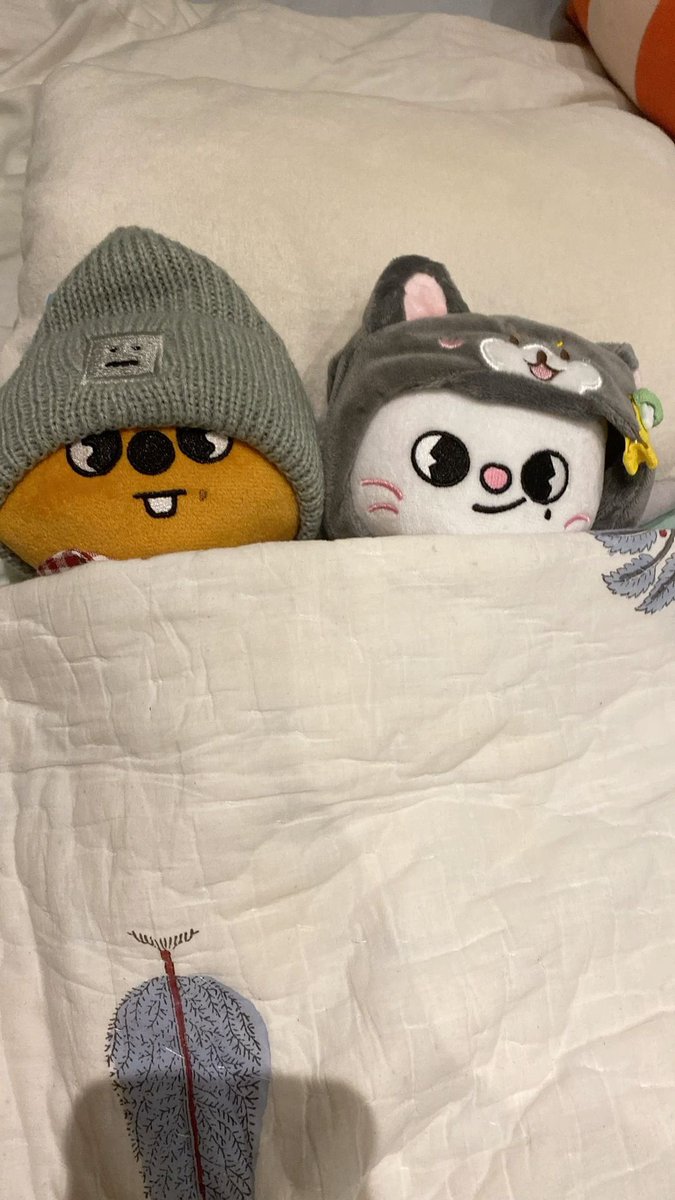 jiniret_ferret's tweet image. hi ferries ^-^ reply with your fav skz and skzoo duo with i vote #straykids for #2025MAMAVOTE 
i&apos;ll start with minee