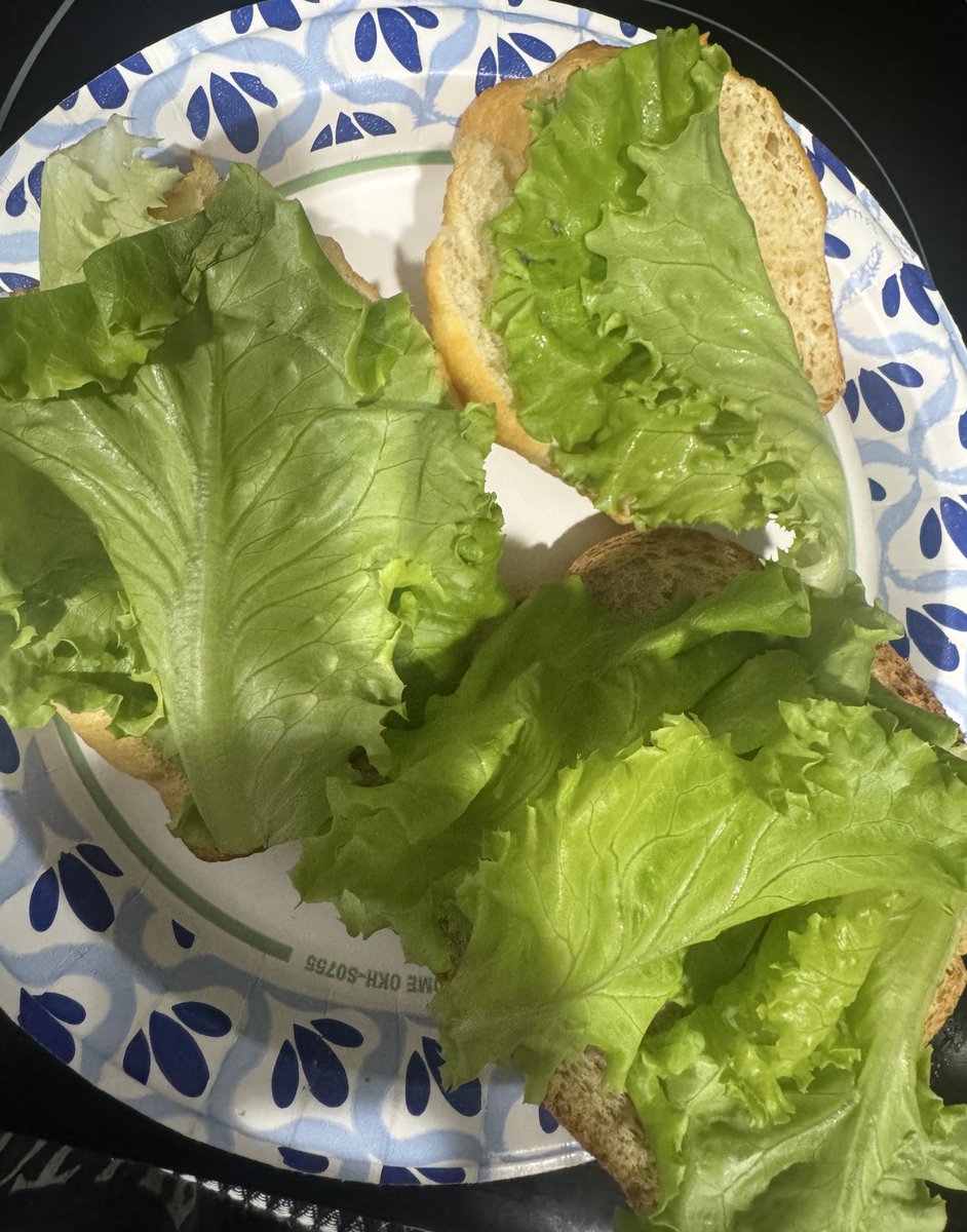 my boyfriend broke up with me because i’m gold rank in constructed on mtg arena and replaced me with a mythic ranked power cube drafter. lettuce toast