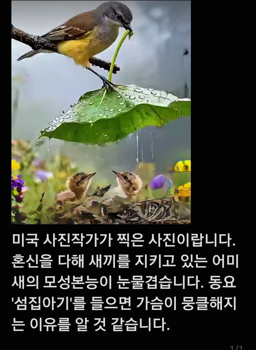 윤양식 (@yys02106223) on Twitter photo 