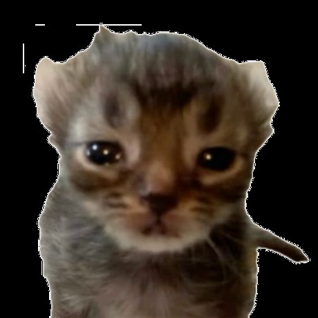 OgundareSa64752's tweet photo. If I host a free adoptable raffle for my school resumption, would you join in it??
#freeadoptable https://t.co/iHDeIOlgYb