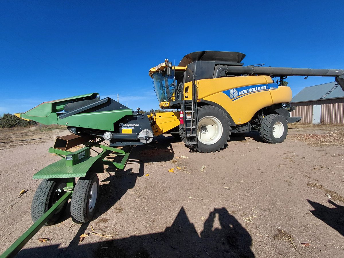 Jim Diamond tweet media