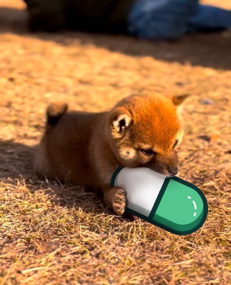 Billions 🧑🏽💻 tweet media