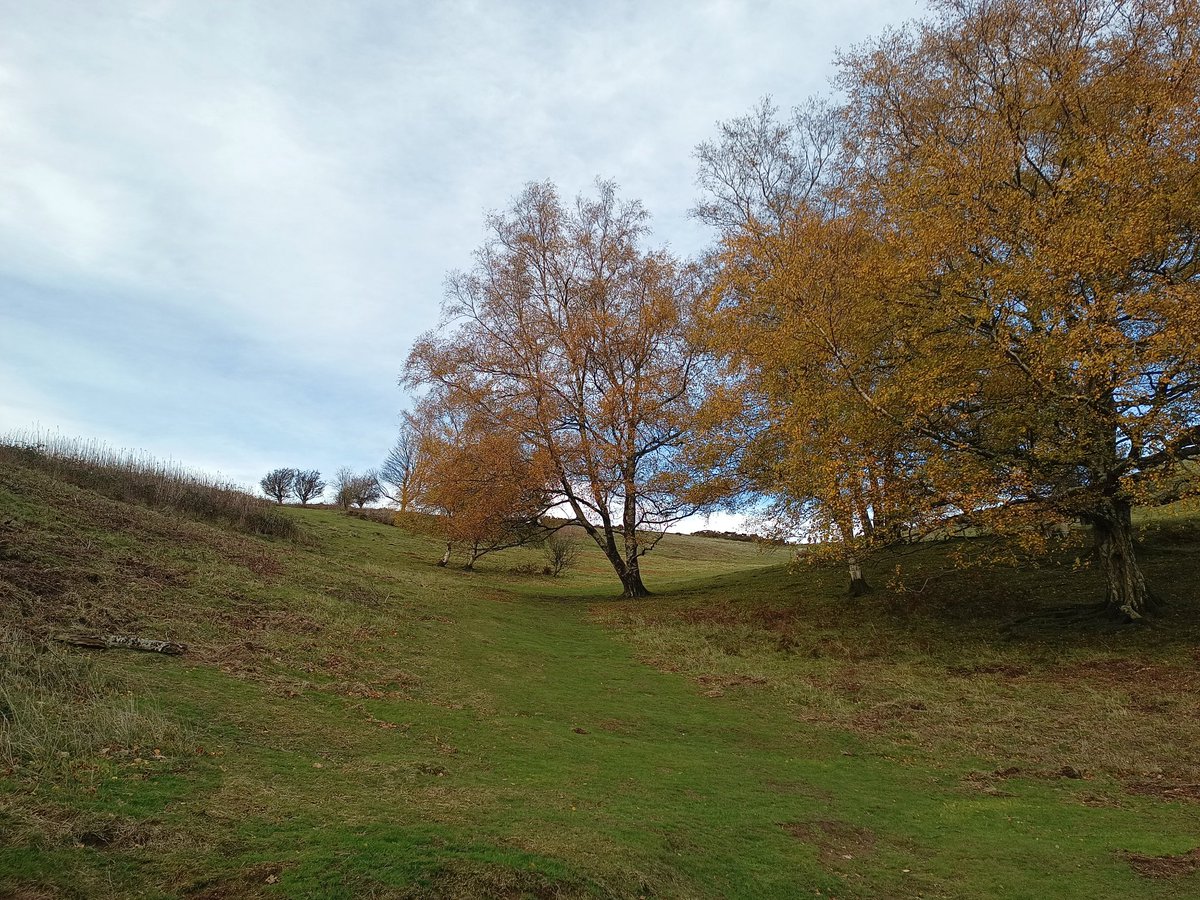 We stole autumn leaves and summer showers