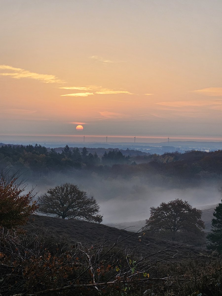De afgelopen drie dagen ging ik opnieuw voor Disconnect to Connect met Presence Outdoor: offline, de natuur in, met een mooie groep ondernemers en leiders.
Ruimte maken om te voelen wat écht drijft, blokkades opheffen en een doorbraak bereiken. #Leiderschap #Natuur #Veluwe