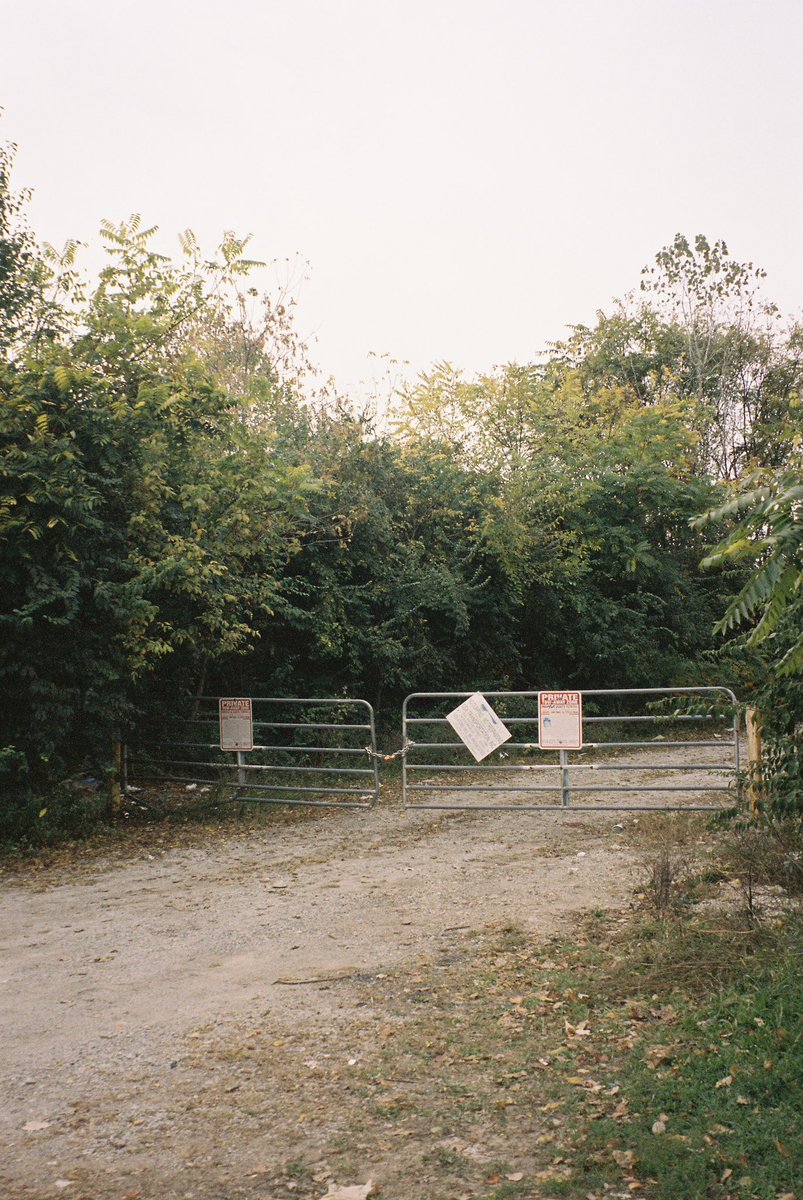 Kate Russell tweet media