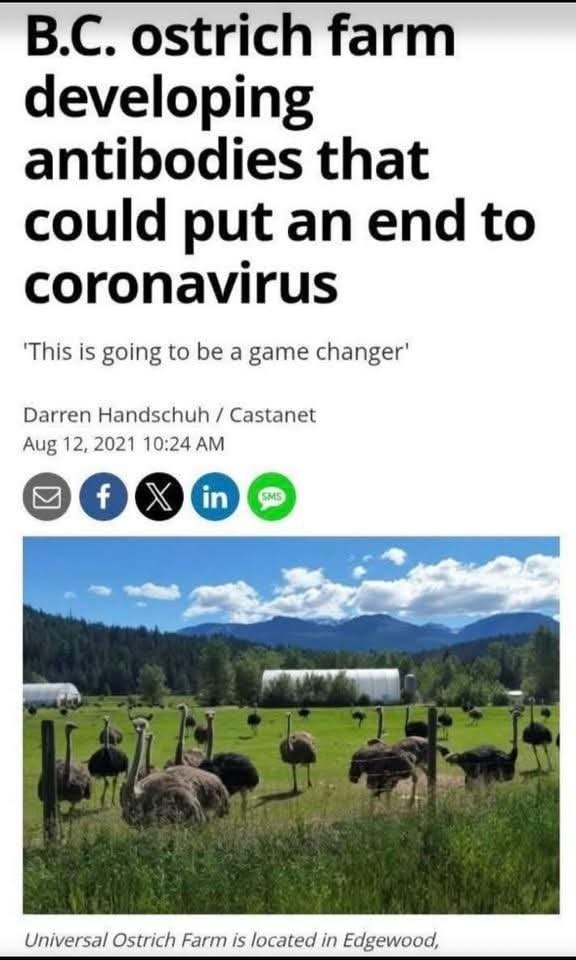 Wonder why they insisted on culling the ostriches without testing them...🤔