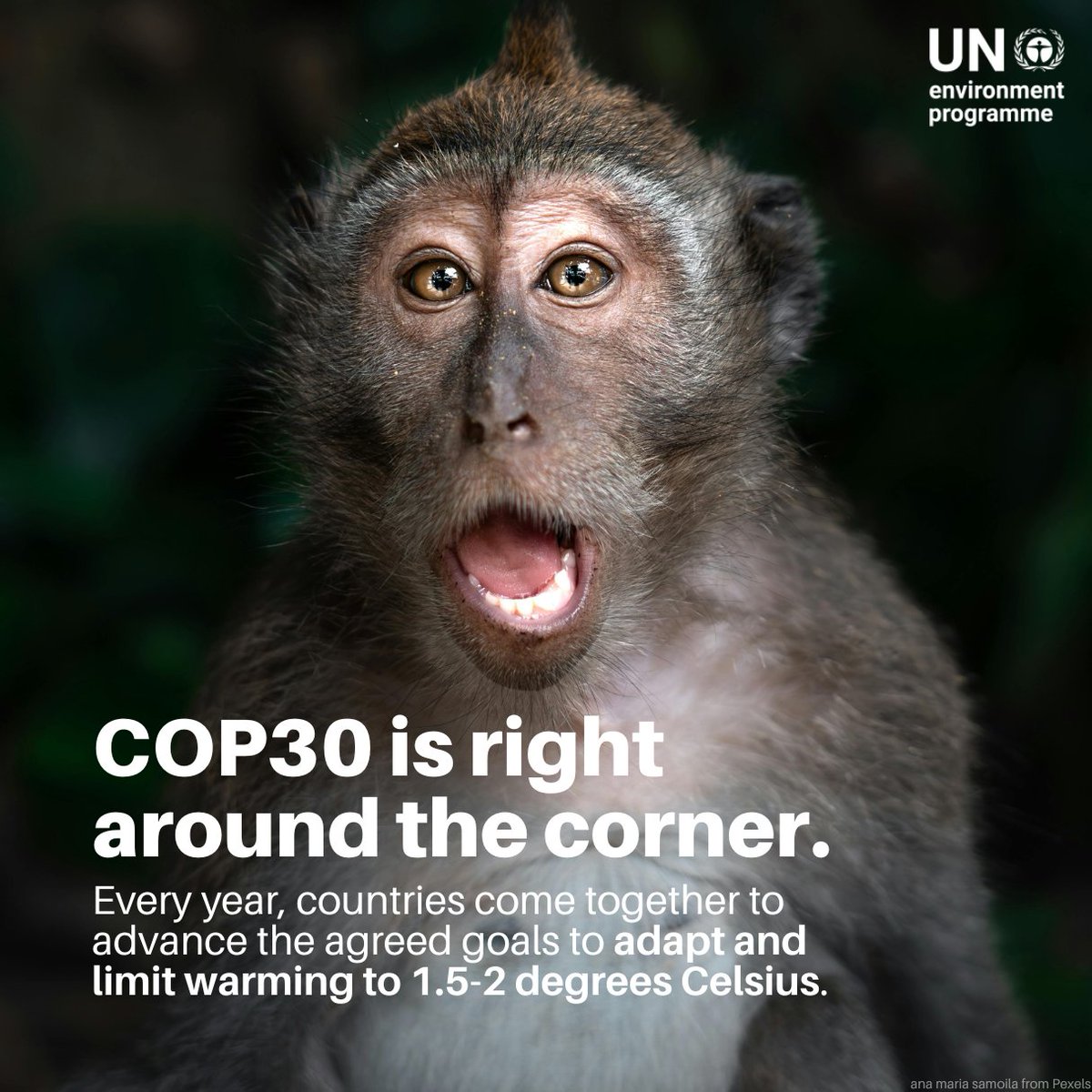 UN Environment Programme tweet media