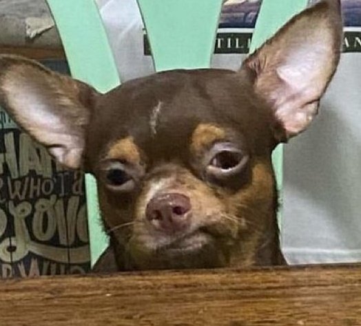 ATT_Yu's tweet image. O Remo está muito espaçado, voltando muito a bola, jogo sonolento, mesmo com 1 a mais não conseguimos oferecer nenhum perigo ao gol do Novorizontino. 

Espero que o Guto grite pra esses caras acordarem!