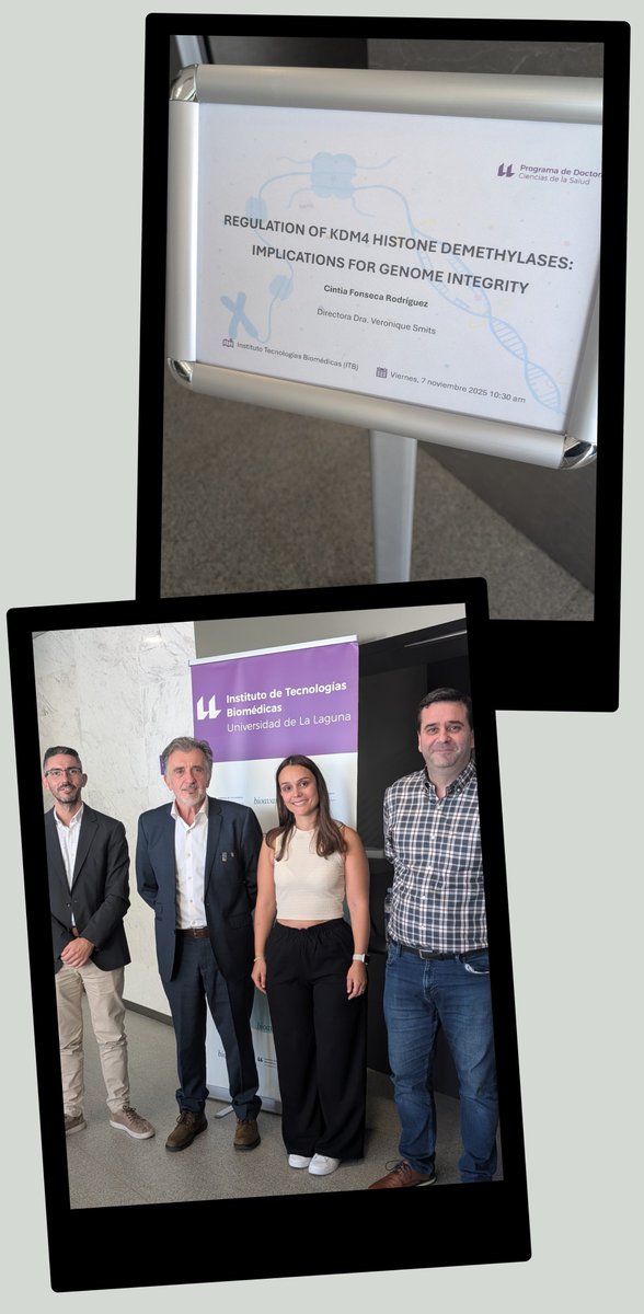 Veronique Smits tweet media