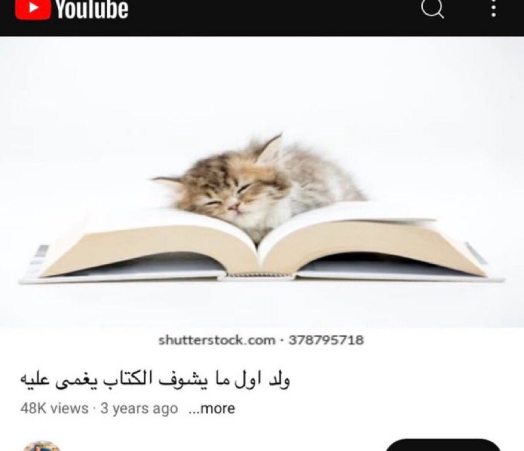 LLLLLLLLL1_l's tweet image. 