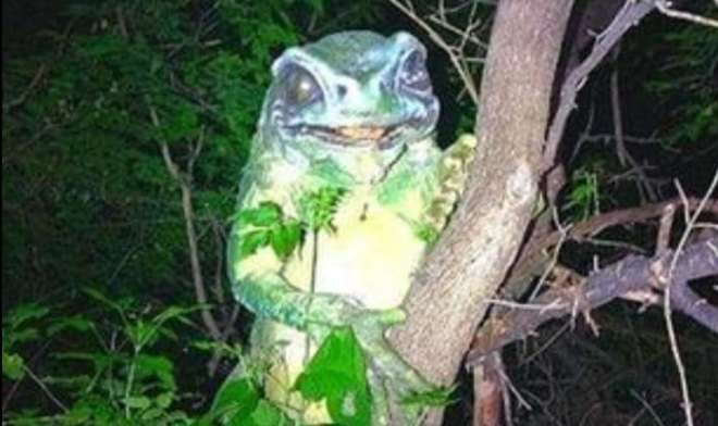 Nido_de_Cuervos's tweet photo. "Frogman", enésimo falso documental de bajo presupuesto... ahora, hombre rana mediante.
https://t.co/Sho9l2R6dt #frogman https://t.co/eAM8Q88hbj