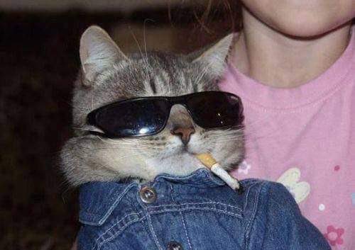 Hubert Stojanowski (@hstojanowski) on Twitter photo 