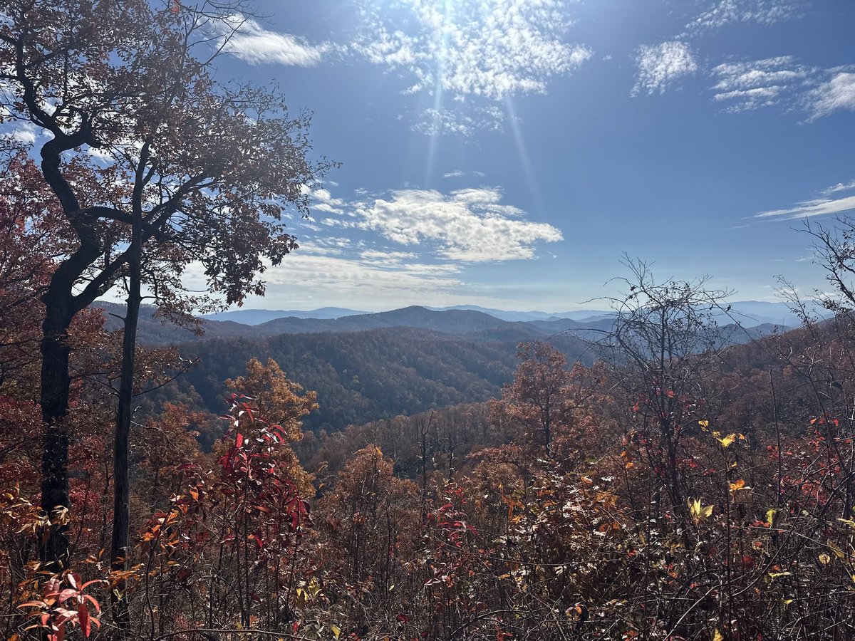 Beautiful hike today on the Cherokee Mountain Loop in the Cherokee National Forest near Buffalo Mtn.,TN.
Thank you ⁦<a href="/jaegersports/">Jaeger Sports</a>⁩
for the new hat! ♥️