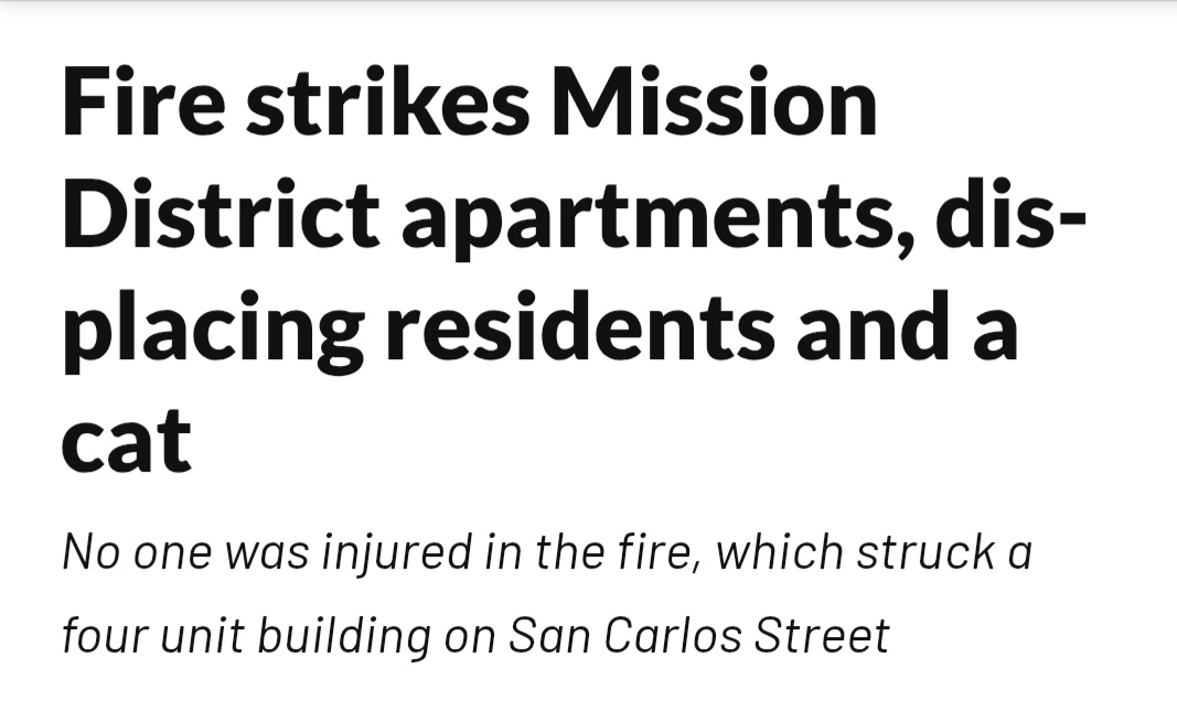 jakeonrails's tweet image. BREAKING: @JackieFielder_ is writing legislation to ban indoor candles in SF after a cat was displaced from it's home Thursday night