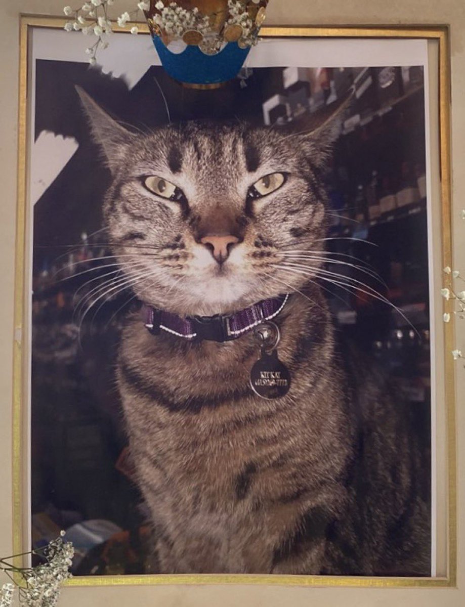 Thank you everyone! We are now at 2k
followers. $KITKAT #RememberKitKat