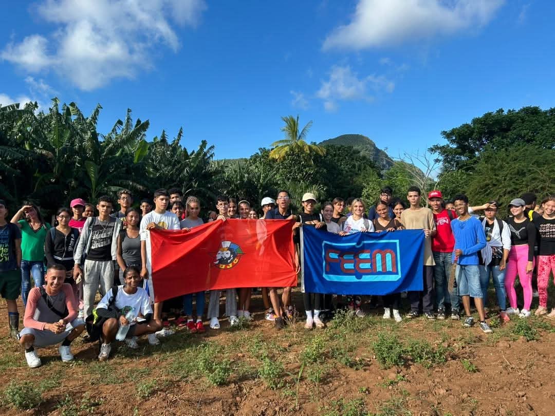 rlicea_mojena's tweet photo. Fructífera jornada de sábado en la agricultura, tuvieron los muchachos de la #FEEM aportando su granito de arena en la producción de alimentos, para lograr el tan necesario autoabastecimiento territorial #IslaDeLaJuventud #SentirPinero #100AñosConFidel #SiSePuede https://t.co/oBfF8neLdT