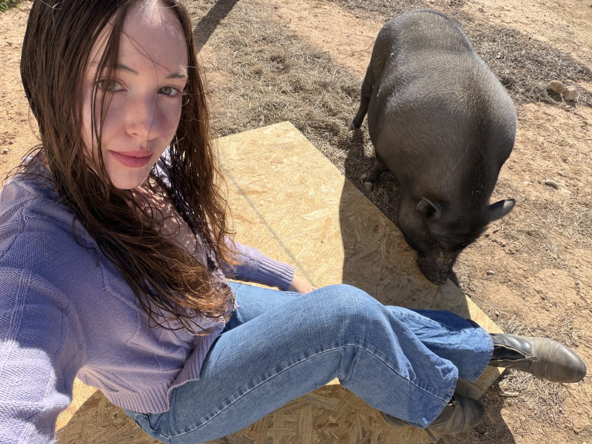 earth2lilah's tweet image. My obsession I had with pigs growing up is all making sense now. One minute, you have a bunch of pig figurines on your dresser, the next minute, there’s a pig in your backyard seemingly out of nowhere, but it’s rarely out of nowhere.