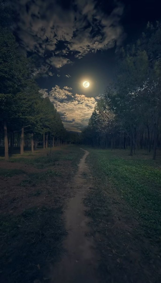 tuitsyalgomas's tweet image. 📸