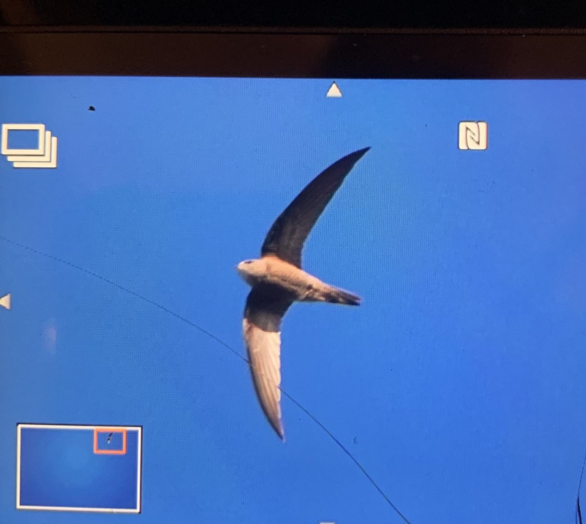 Andy Millar 🇬🇧 tweet media